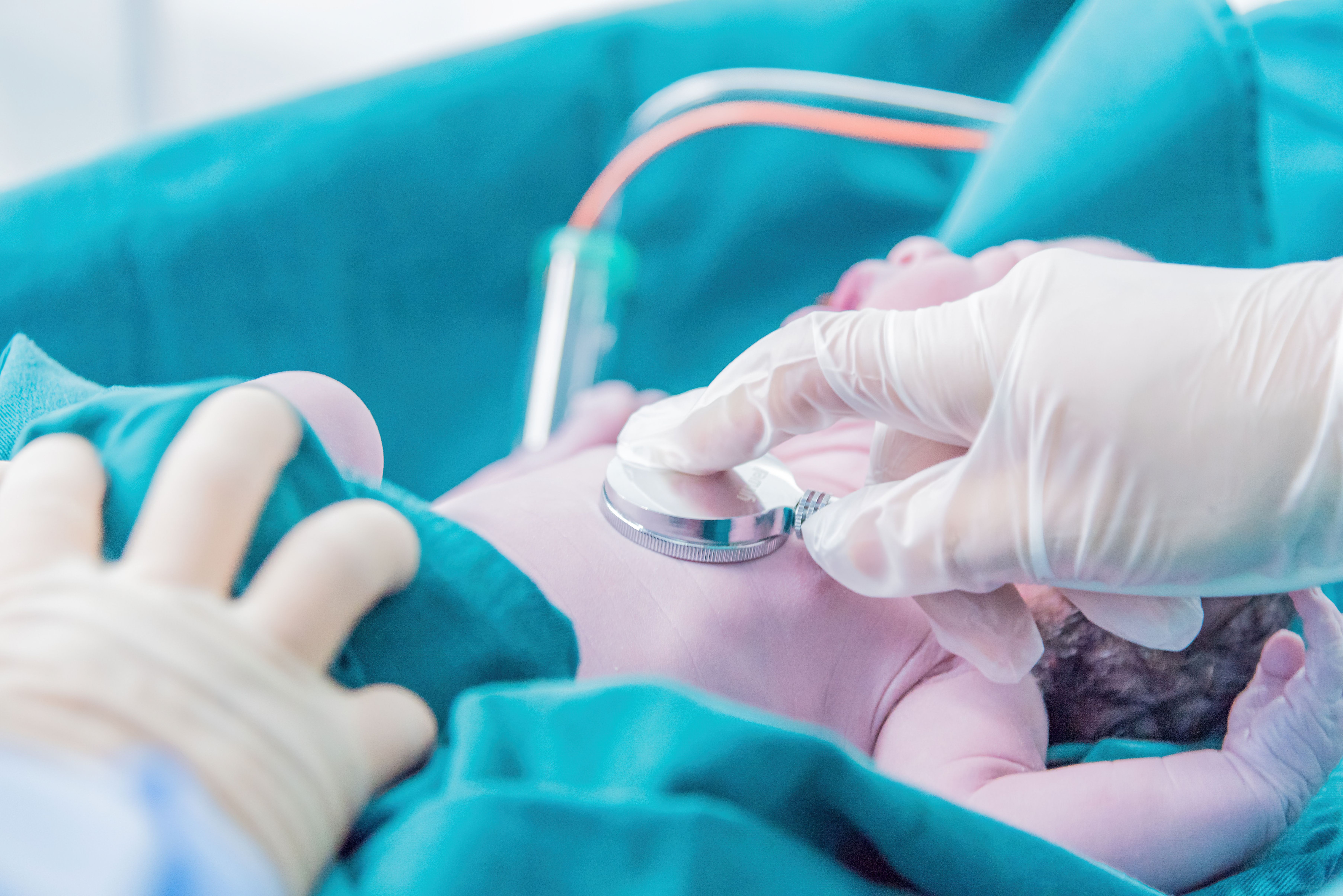Pregnancy and maternity care consultation